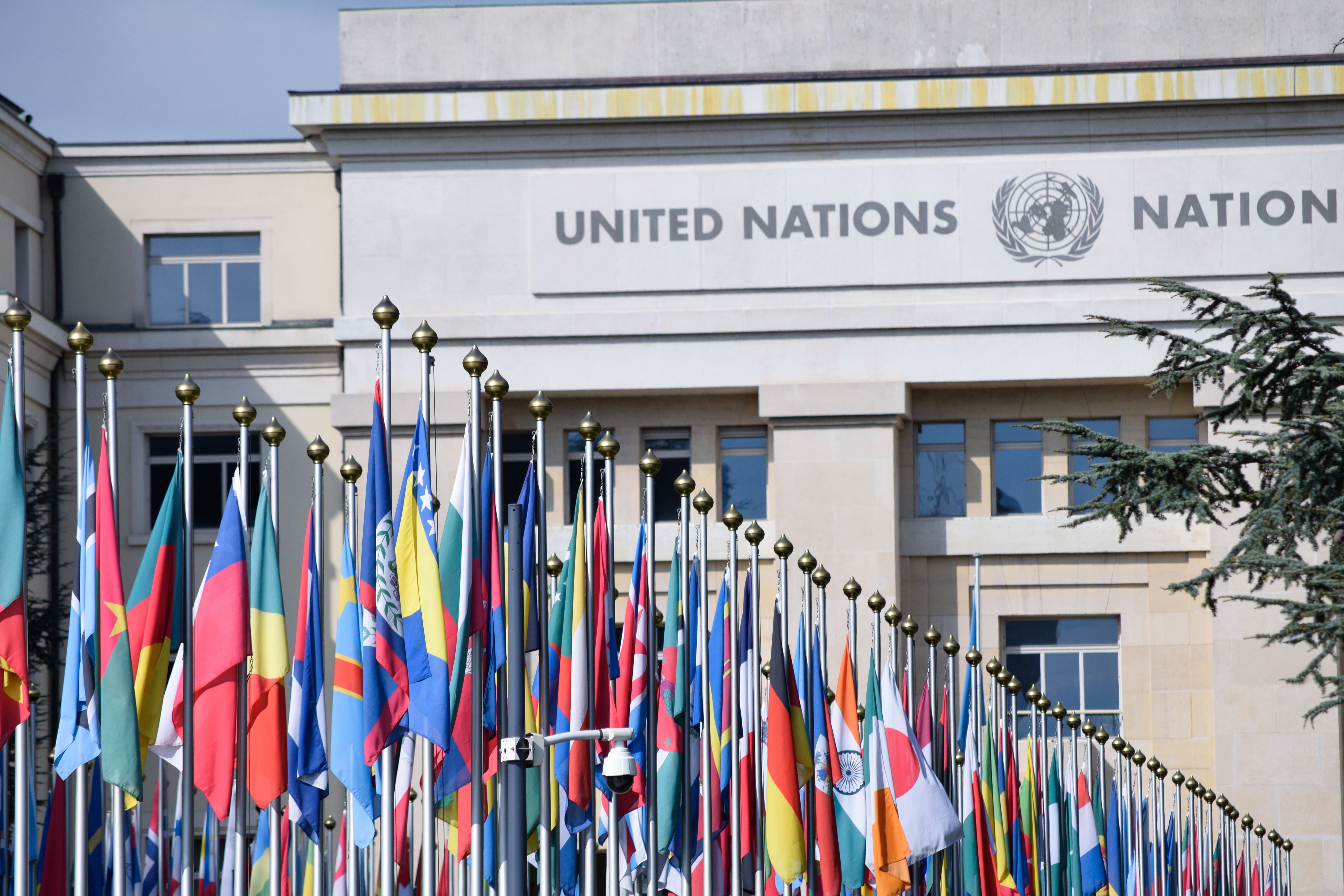 Humanitarian professionals using AI for accessible education, methane monitoring, and tuberculosis screening